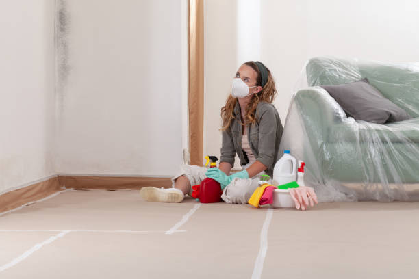 Reliable Mold Cleanup contractor in South Amboy, NJ by Cheap Mold Removal